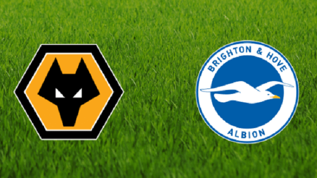 Soi kèo Wolverhampton vs Brighton & Hove, 7/3/2020 – Ngoại Hạng Anh