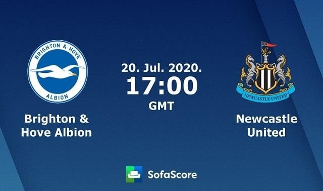 Soi kèo Brighton vs Newcastle United, 21/7/2020 – Ngoại hạng Anh