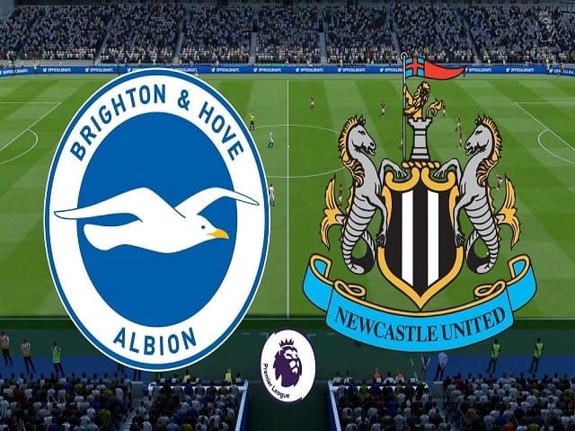 Soi kèo Brighton vs Newcastle United, 21/03/2021 – Giải Ngoại hạng Anh